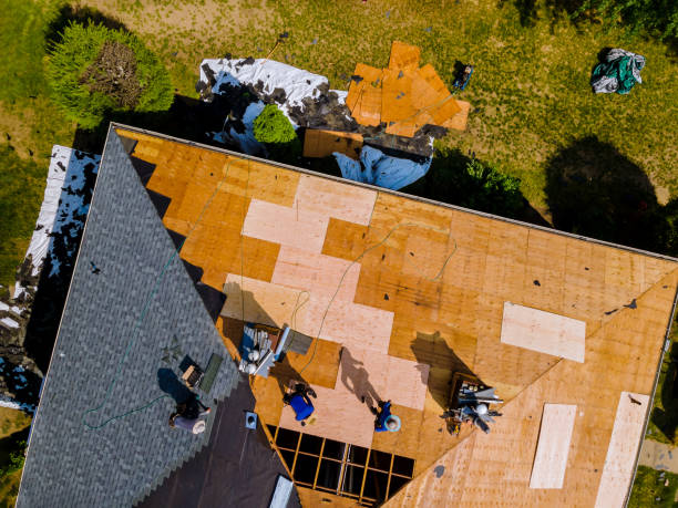 Best Flat Roof Repair Services  in Brewster Heights, NY