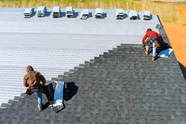 Best Roof Gutter Cleaning  in Brewster Heights, NY
